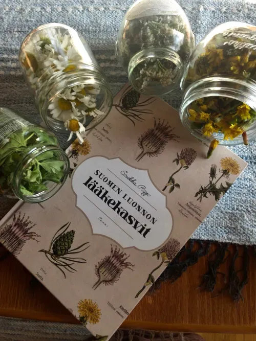 Hierbas y flores preparadas para un ritual de autocuidado